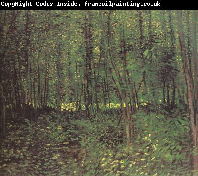 Vincent Van Gogh Trees and Undergroth (nn04)